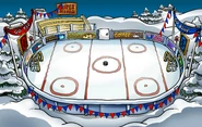 Sports Party Ice Rink