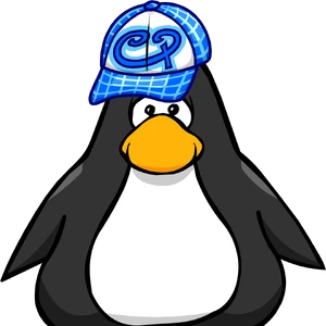 blue skater hat