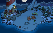 Operation Puffle Beach