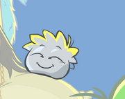 Silver Puffle 2013 Zoom
