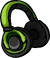 Green Headphones icon