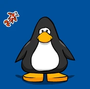 Koi Fish pin on a Player Card