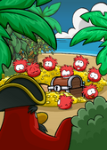 Rockhopper Island Red Puffle Treasure