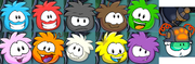 Puffle Chase Interface Sprites