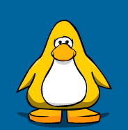 Me on clubpenguin 1 close up