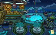 Operation Puffle Puffle Hotel Roof