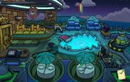 Music Jam 2016 Puffle Hotel Roof