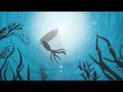 The Squid seen in this video