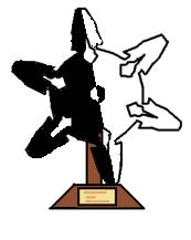Ninja and a agent award