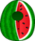Watermelon Costume icon
