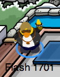 Flash 1701