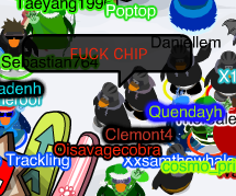 FUCK CHIP