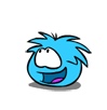 CP Pic233