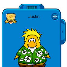 Pookie Clothes Club Penguin Pookie Wiki Fandom