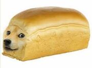 If You Play Roblox And Heard Of Bereghost You Will Understand This The Doge Is Stalking Bereghost Someone Help Fandom - club penguin pookie wiki fandom twinke doge roblox If You Play Roblox And Heard Of Bereghost You Will Understand This The Doge Is Stalking Bereghost Someone Help Fandom - twinke doge roblox