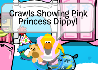 Dipy