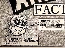 Spongebob 1986