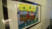 SpongeBoy 44