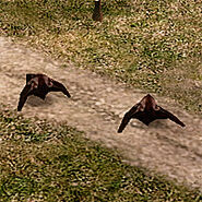 Command and conquer generals Command and conquer generals