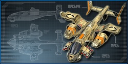 Orca attack craft