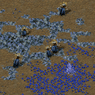 Vegetation2.gif (71 KB) Vegetation2