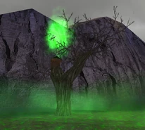 Blossomtree.jpg (144 KB) Blossomtree