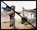 CNCGZH Fake Stinger Site Cameo