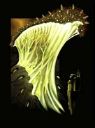 Plant4.jpg (22 KB) Plant4