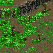 Vegetation.gif (71 KB) Vegetation