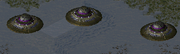 YR Floating Disc