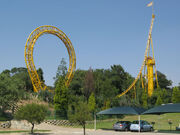 Golden Loop Vertical Loop Spike