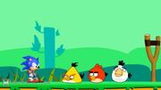 Sonic and Angry Birds