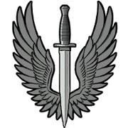 200px-SAS icon
