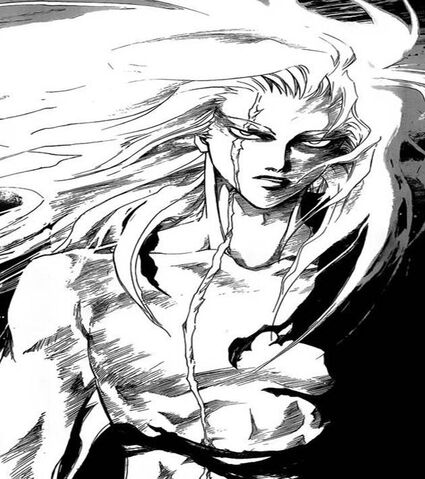 Fichier:-His- True Form.jpg