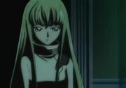 C.c. appears
