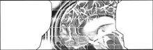 Refrain effect