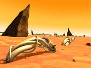 Deserto