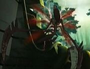 IL