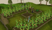 180px-Farminghighdetail