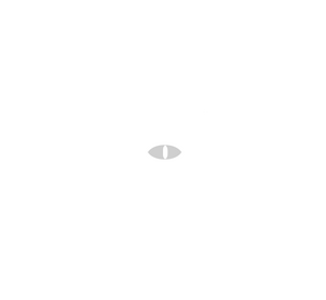 Central government2