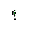 Lai s Hacking Scrybe (Plugged In)