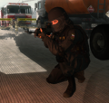 120px-Internal troops 2