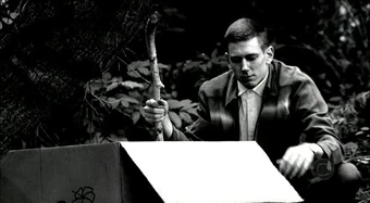 The Boy In The Box Cold Case Wiki Fandom