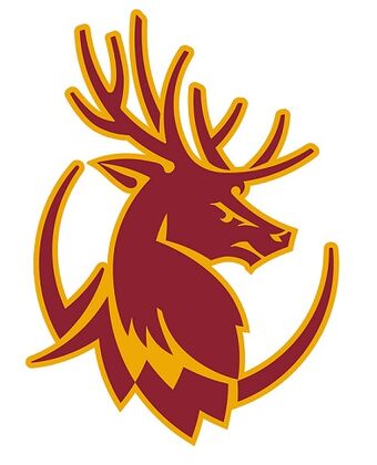 Claremont Mudd Scripps Stags American Football Wiki Fandom