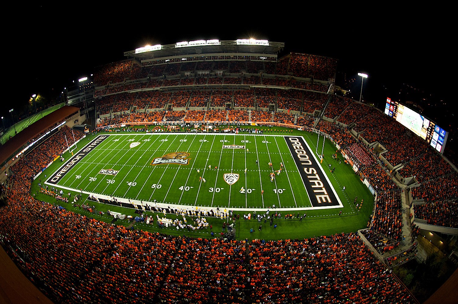 Reser Stadium American Football Wiki Fandom Powered By Wikia 3919