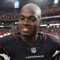 Adrian Peterson American Football Wiki Fandom