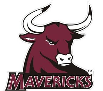 2019 Colorado Mesa Mavericks American Football Wiki Fandom
