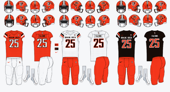 Bowling Green Falcons American Football Wiki Fandom