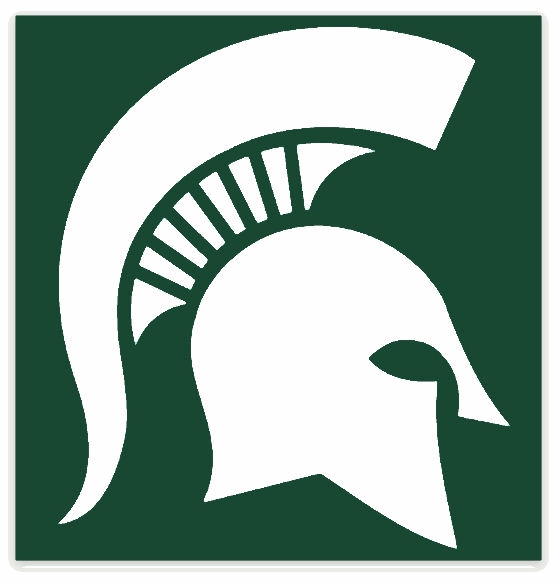 Garden Ornaments Michigan State Msu Spartans Green S Flag 3 X 5 College Ncaa Garden Patio