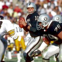 Jim Plunkett American Football Wiki Fandom
